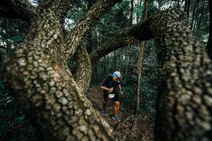 BIB: 
                            <button type="button" onclick="openModal(25394178)" class="btn btn-primary btn-sm float-right btn-popup" data-toggle="modal" data-target=".modal-high-quality">
                        <i class="fas fa-shopping-cart"></i> Add to Cart
                    </button>
                                            <button type="button" onclick="isThisMe(25394178, true)" class="btn btn-success btn-sm float-right btn-popup btn-isme hidden" data-toggle="tooltip" data-placement="bottom" title="นี่คือรูปของคุณใช่ไหม คลิกที่นี่เพื่อเอาเข้าอัลบั้ม">
                        <i class="fas fa-plus"></i> Add to album
                    </button>
                    <button type="button" onclick="isThisMe(25394178, false)" class="btn btn-warning btn-sm float-right btn-popup btn-isnotme hidden">
                        <i class="fas fa-ban"></i> Remove from album
                    </button>